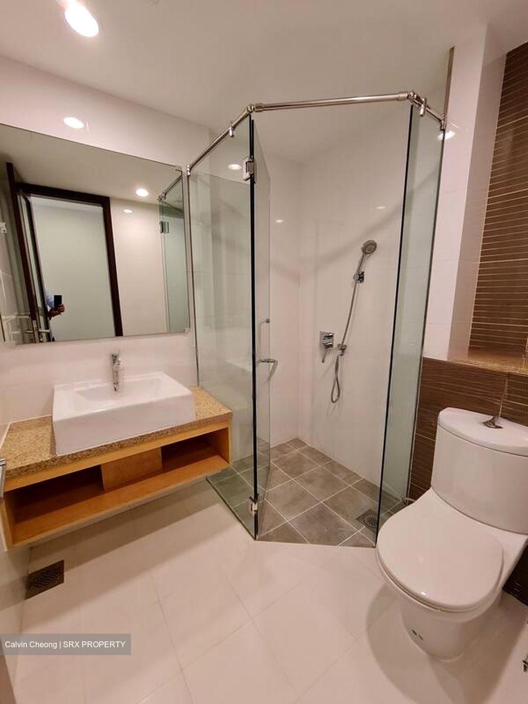 The Cathay Residence (D9), Apartment #480874461